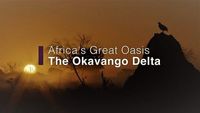 Africas Great Oasis the Okavango Delta