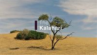 The Kalahari