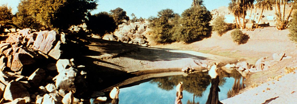 Cover Ces gens du Nil