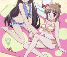 image-https://media.senscritique.com/media/000019493859/0/shakugan_no_shana_ova.jpg
