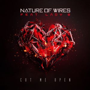 Cut Me Open (Single)