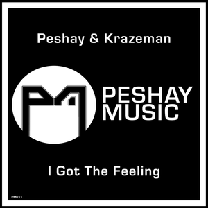 I Got the Feeling (Single)
