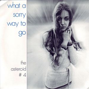 What a Sorry Way to Go (Single)