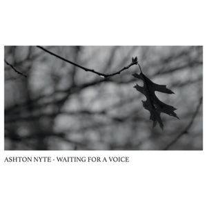 Waiting for a Voice