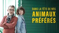 Dans la tête de nos animaux préférés