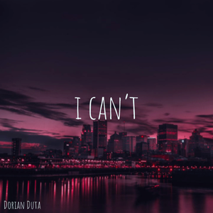 I Can't (Single)