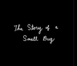 image-https://media.senscritique.com/media/000019506060/0/the_story_of_a_small_bug.jpg