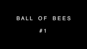 Ball of Bees