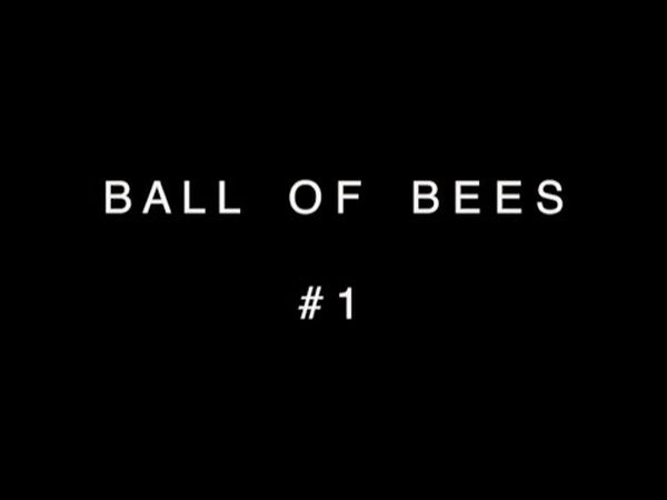 Ball of Bees