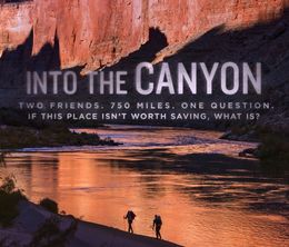 image-https://media.senscritique.com/media/000019506274/0/au_coeur_du_grand_canyon.jpg