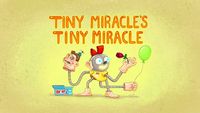 Tiny Miracle's Tiny Miracle