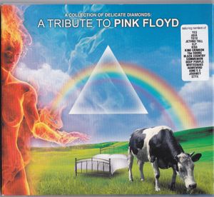 A Collection of Delicate Diamonds: A Tribute to Pink Floyd