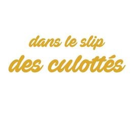 image-https://media.senscritique.com/media/000019512516/0/Dans_le_slip_des_culottes.jpg