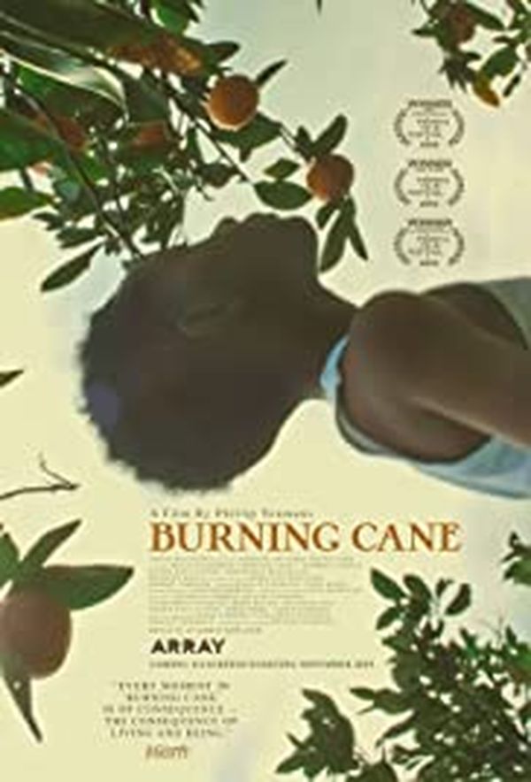 Burning Cane