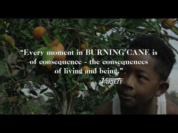 Burning Cane