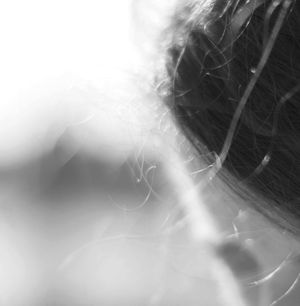 ''Cvet/Setka'' (EP)