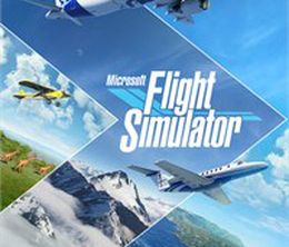 image-https://media.senscritique.com/media/000019518232/0/microsoft_flight_simulator.jpg