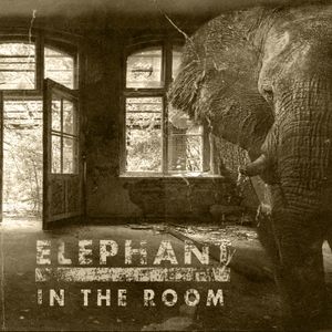 Elephant in the Room