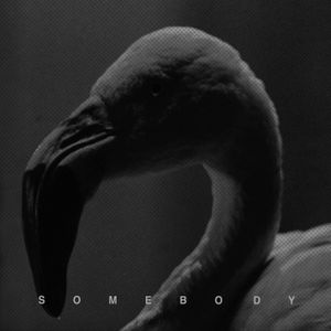 Somebody (Single)