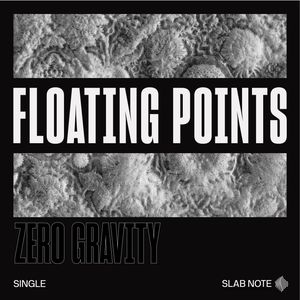 Floating Points (Single)
