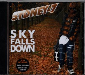 Sky Falls Down (Single)