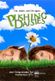Affiche Pushing Daisies