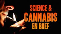 Science & cannabis en bref !