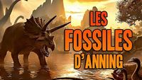 Mary Anning - une histoire de fossiles