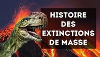 Les extinctions de masse