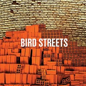 Bird Streets