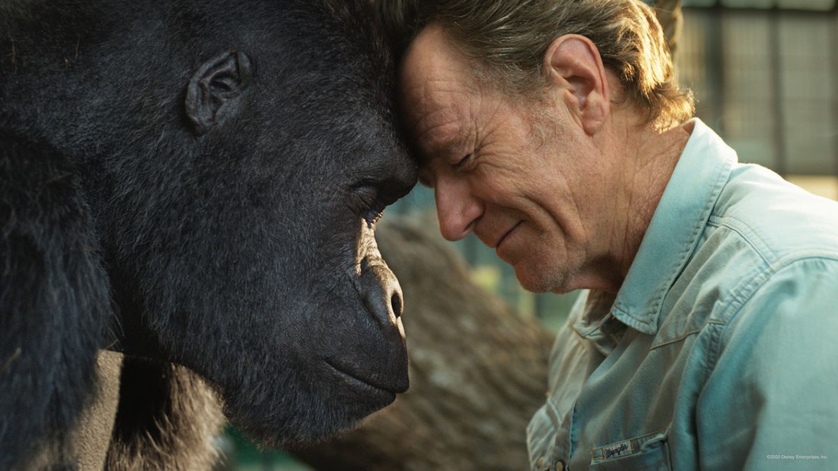 Le Seul Et Unique Ivan Film Le Seul et unique Ivan - Film (2020) - SensCritique