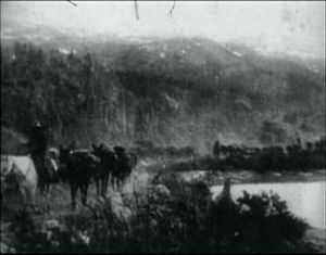 Packtrain On Chilkoot Pass