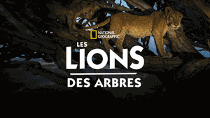 Les Lions des arbres