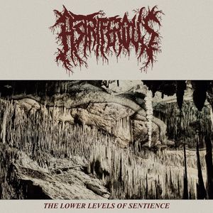 The Lower Levels of Sentience (EP)