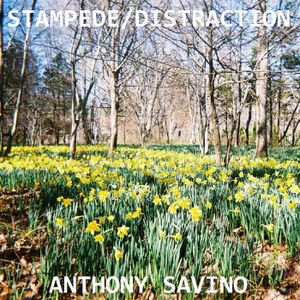 Stampede b/w Distraction (Single)