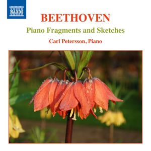 Piano Fragments and Sketches