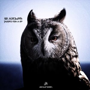 Barred Owls (EP)