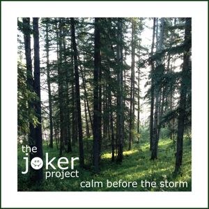 Calm Before the Storm (Single)