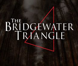 image-https://media.senscritique.com/media/000019538509/0/the_bridgewater_triangle.jpg