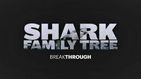 Shark Family Tree