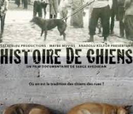 image-https://media.senscritique.com/media/000019539622/0/histoire_de_chiens.png