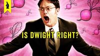 The Secret Genius of Dwight K. Schrute (The Office)