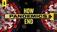 How a Pandemic Ends