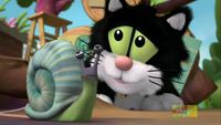 How Can We Find Sammy Snail?