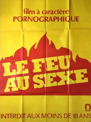 Le feu au sexe