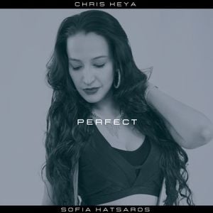 Perfect (Single)