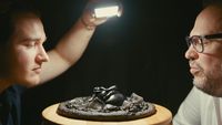 Un lumineux noir d'été