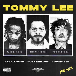 Tommy Lee (Tommy Lee Remix)
