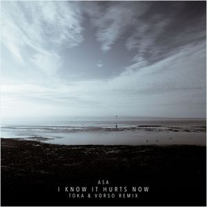 I Know It Hurts Now (Toka & Vorso remix) (Single)