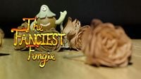 The Fanciest Fungie